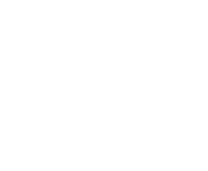 white.png